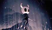 Hollow Knight